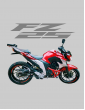 Stunt Cage FZ 25 YAMAHA 2018 EM DIANTE