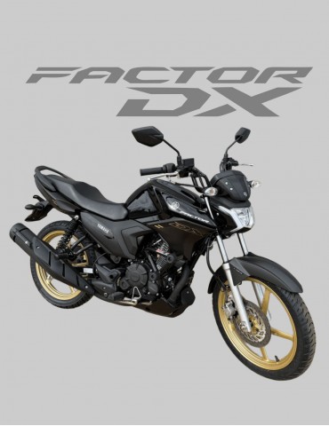 STREET CAGE FACTOR 150 DX 2025